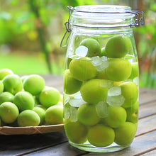 画像をギャラリービューアに読み込む, 3ヶ月でおいしく完成 梅酒づくりのための日本酒1.8Lパック詰